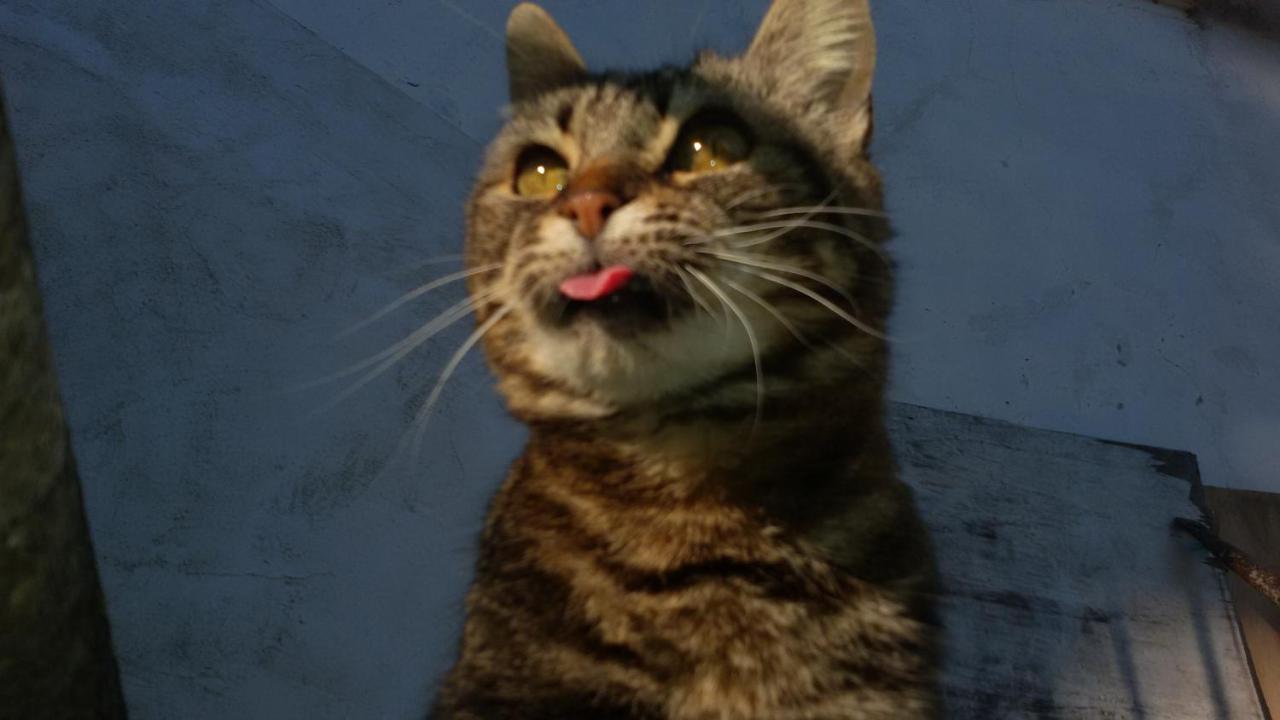 スヴェレートMonolocale Di Meoアパートメント エクステリア 写真